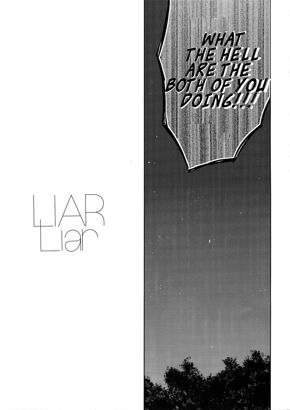 LIAR Liar