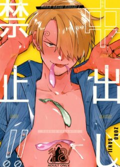  [99.9% (YOKOTA)] Nakadashi Kinshi!! - FORBID CREAMPIE (One Piece)